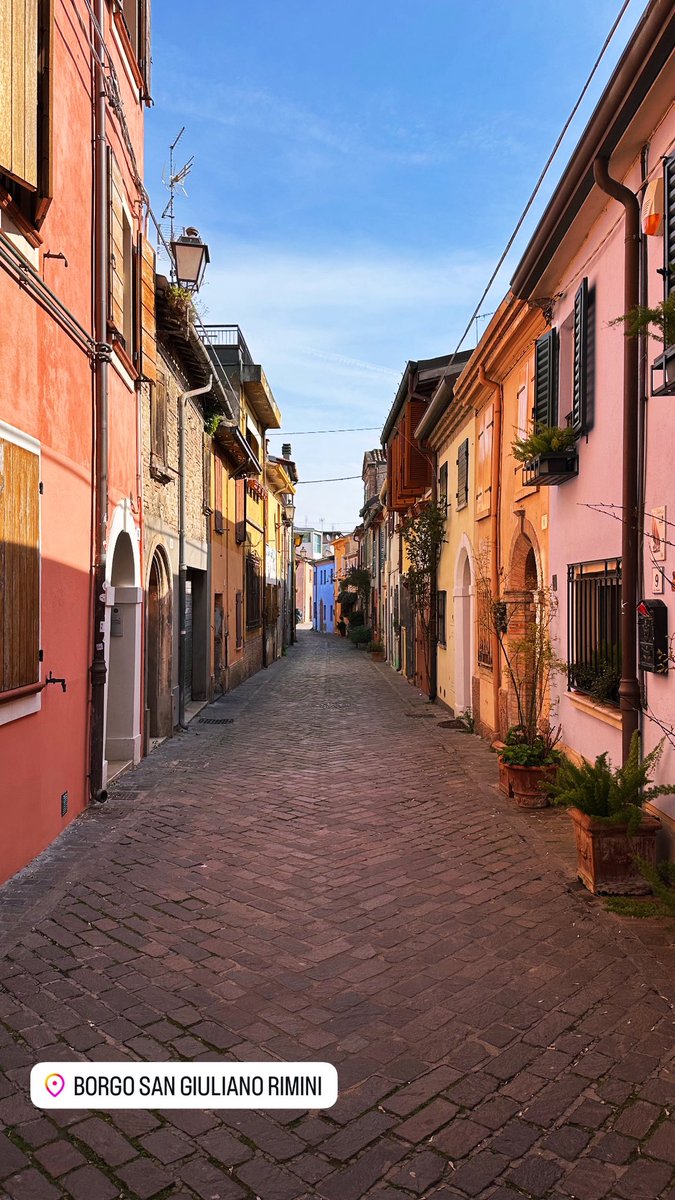 Nicola Carmignani tweet media