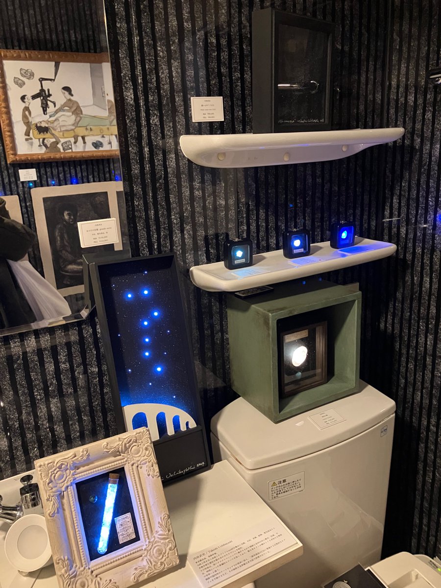 森野うさぎ tweet media