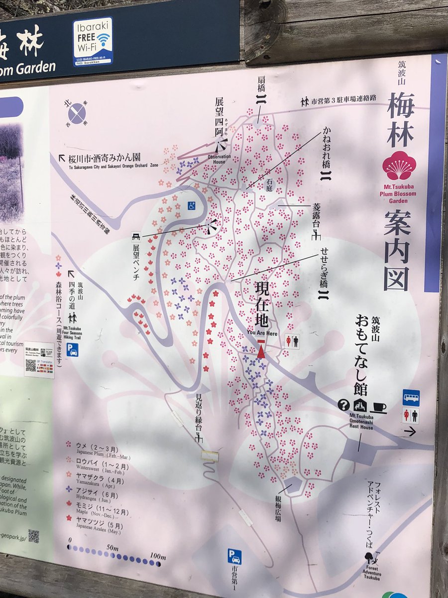 osamuan1's tweet photo. 今日はここへ出掛けました
桜の前花としての梅

筑波梅林へ

つくば梅祭りへ
今日が最終日
斜面に梅の木が1000本
斜面を登るので足がヘロヘロ
でも綺麗な紅梅、白梅が沢山🤗
ガマの油売り口上がやっていた

#筑波梅林
#つくば梅まつり https://t.co/PYVrJXncWQ