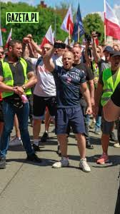 Veni Vidi tweet media