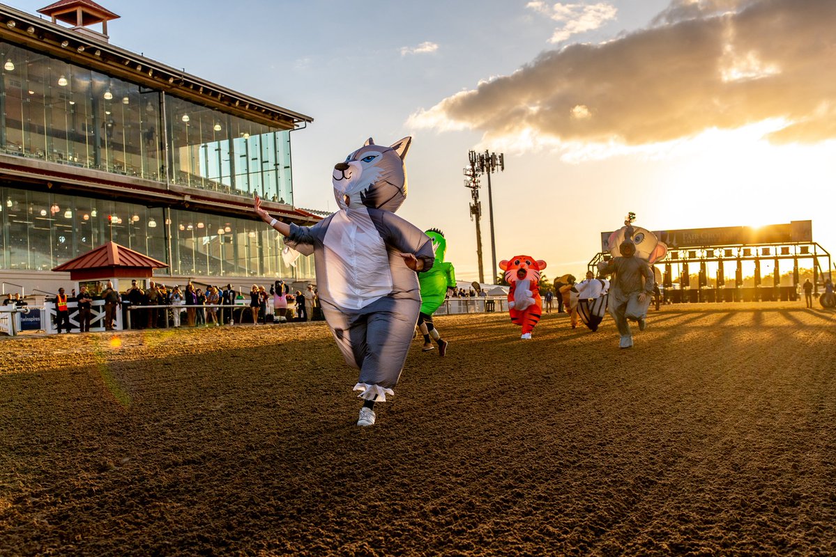 John G. Dooley tweet media