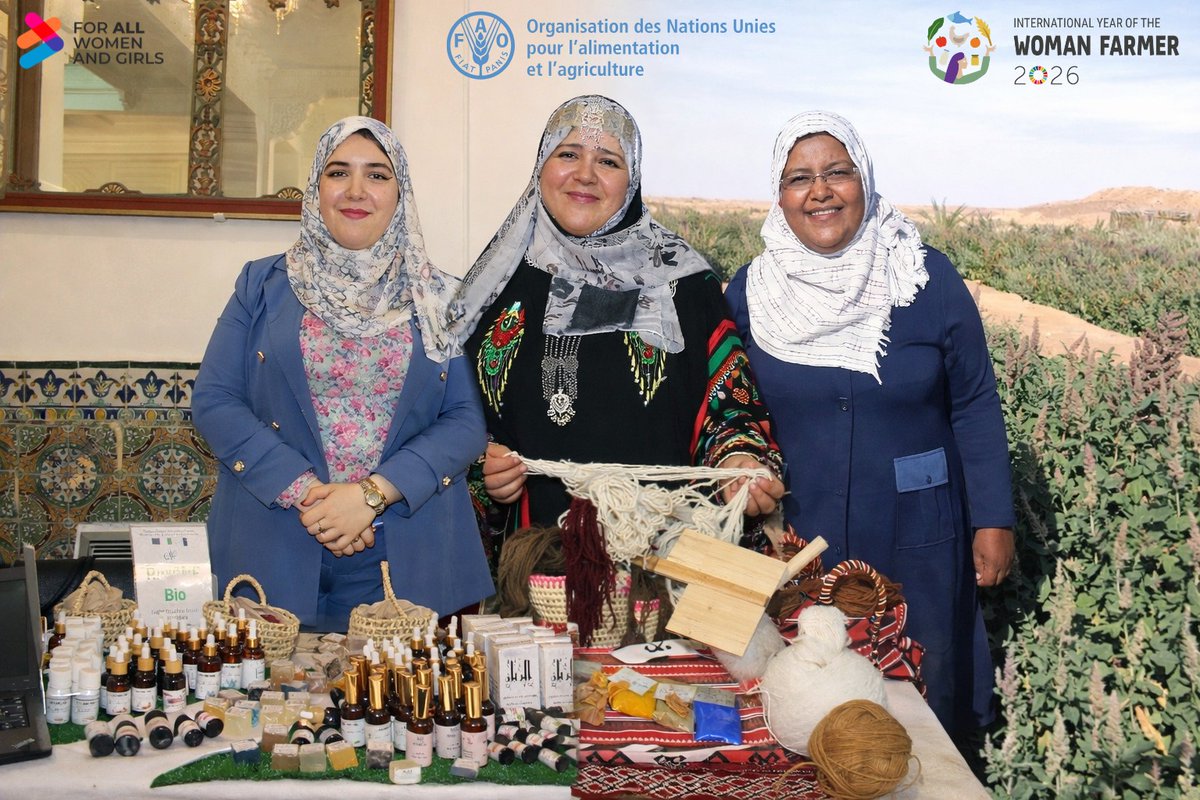 UNALGERIA's tweet photo. #IWD2026🇩🇿 | Femmes rurales, actrices du changement.
Halima, Messaouda et Rayane transforment l’#agriculture, préservent le patrimoine et créent des opportunités pour leurs communautés 🌾🧵🌿
Découvrez leur parcours 👉 https://t.co/VeYwvvQbPA
 @FAOAlgerie https://t.co/MGAcCUvlr1