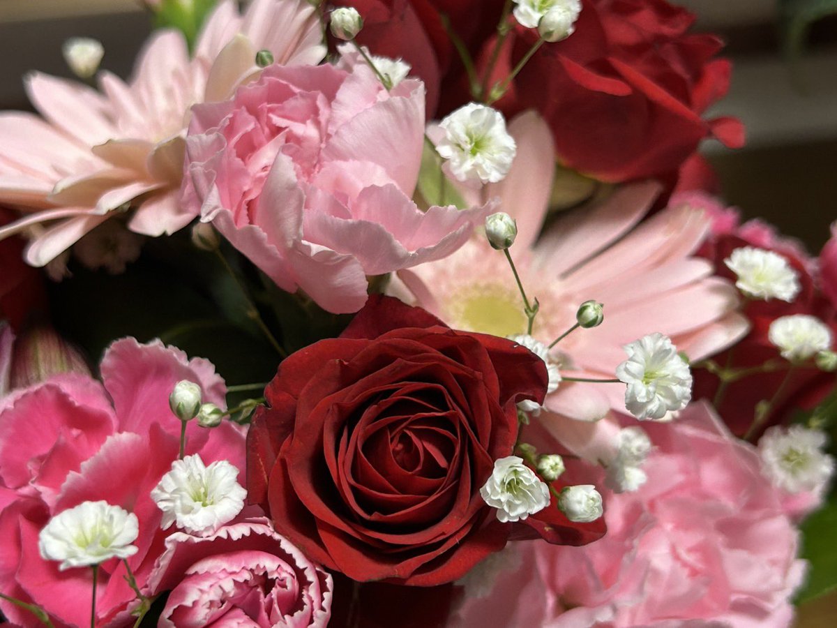 哉永/やなが＠別名義：やなもん tweet media