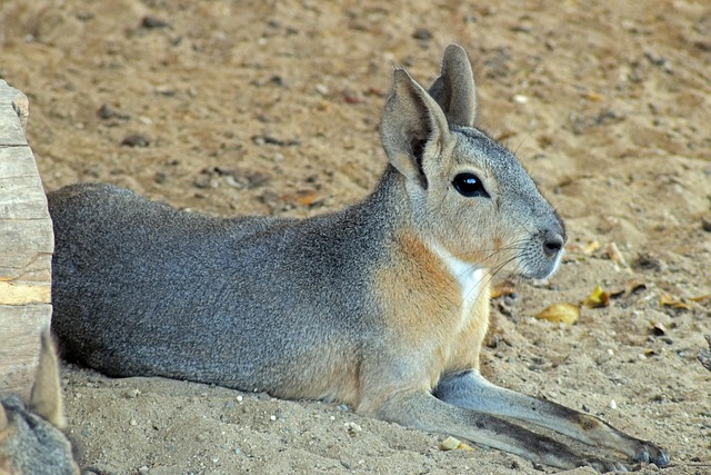 Sharon Ward tweet media