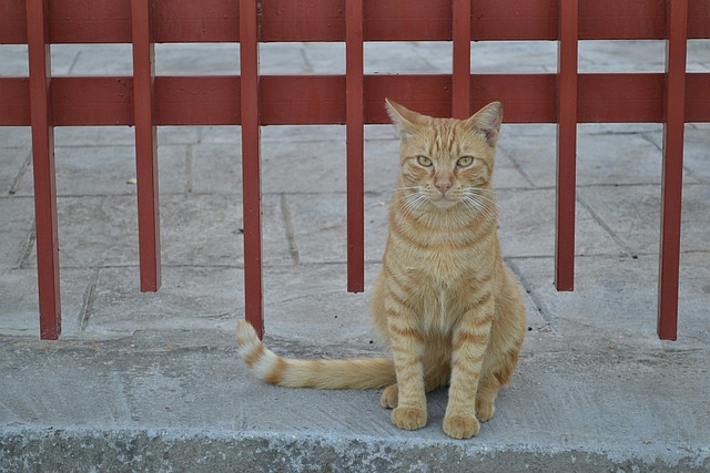 부산 울산 tweet media