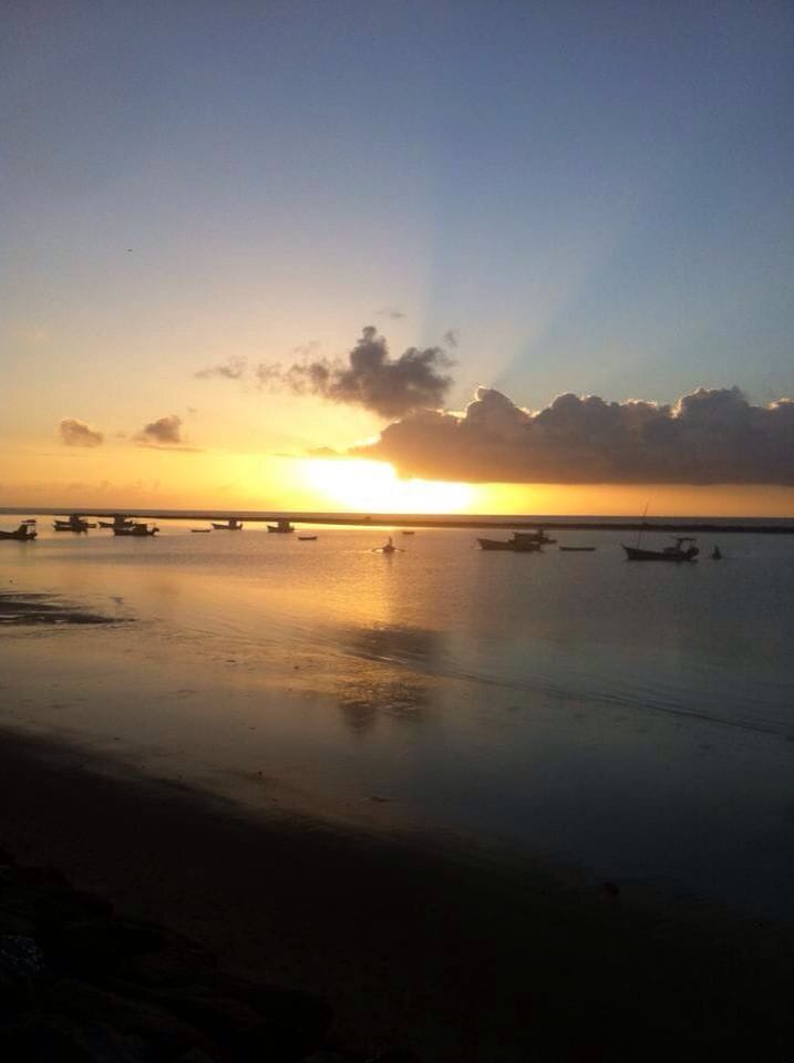 Walter Barbosa Rieper tweet media