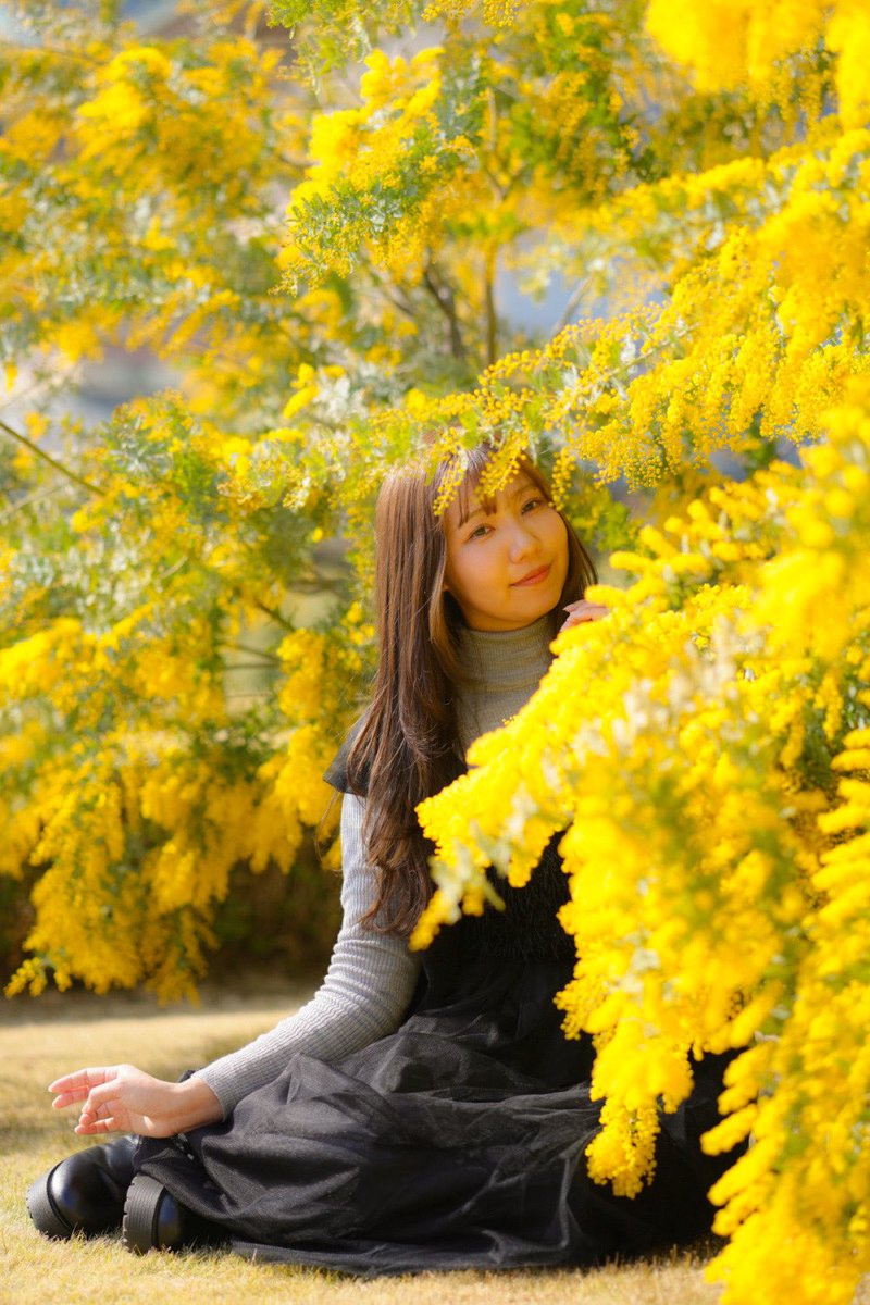 ミモザに包まれて
model：りおなさん(<a href="/ron_toriniku/">りおな</a> )
#ポートレート
#portrait