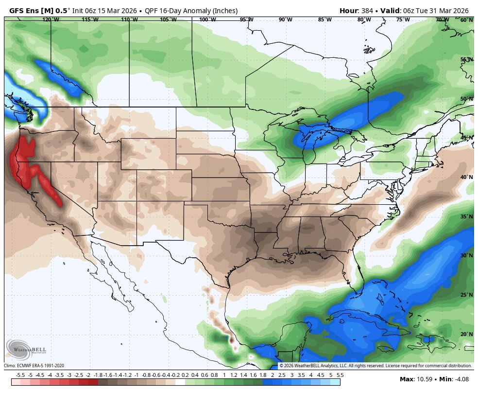Nathaniel Tabor tweet media