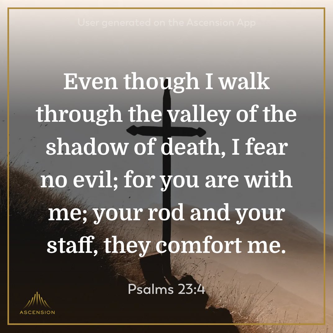 Phil Daru tweet media