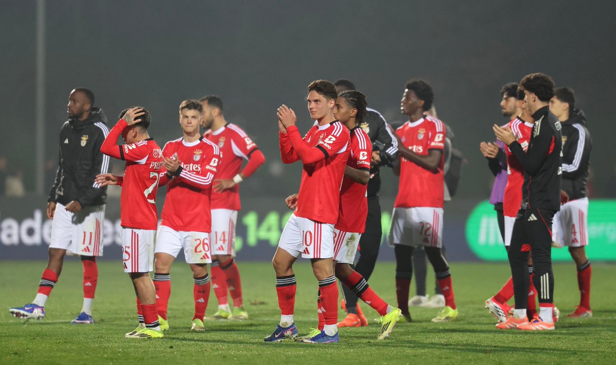 Information Glorious - SL Benfica tweet media