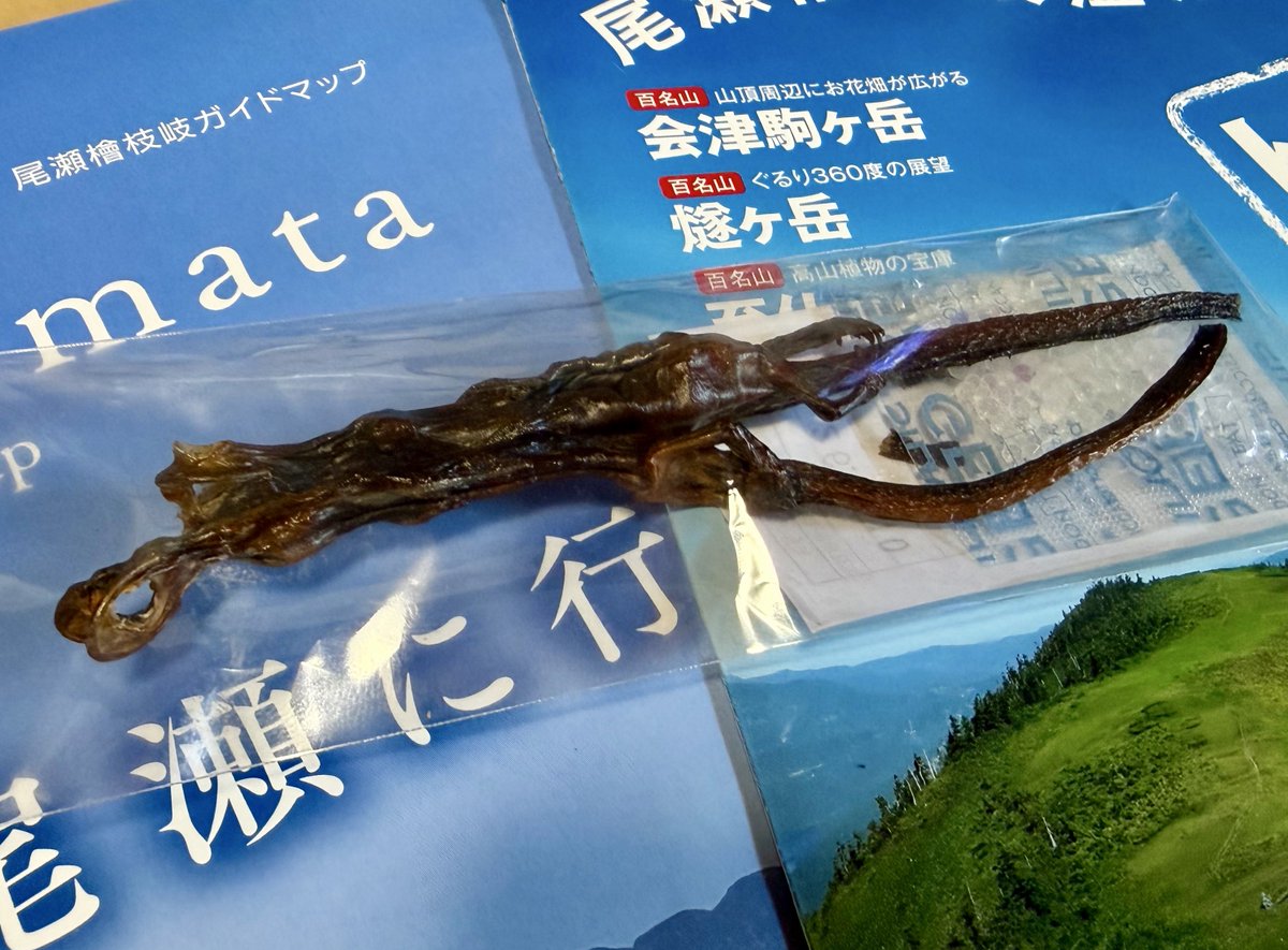 アクアライフ山田 tweet media