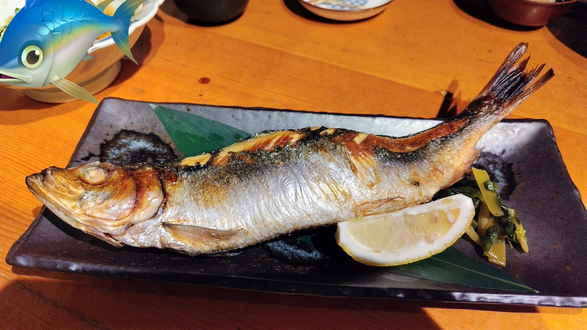 干物 tweet media