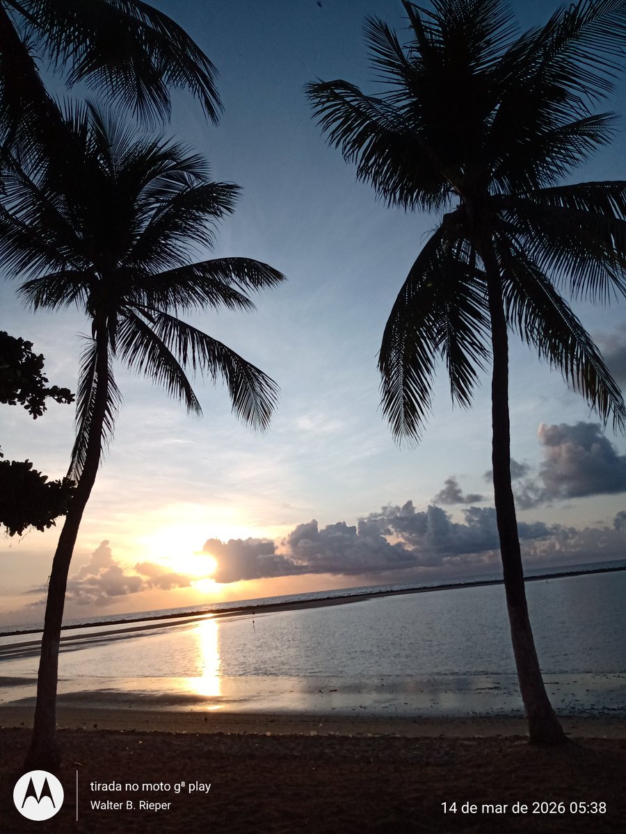 Walter Barbosa Rieper tweet media