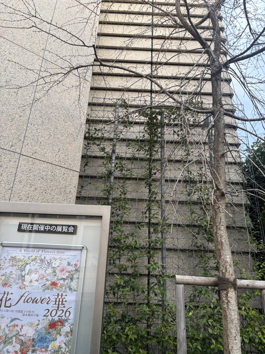 sachinee1356 tweet media