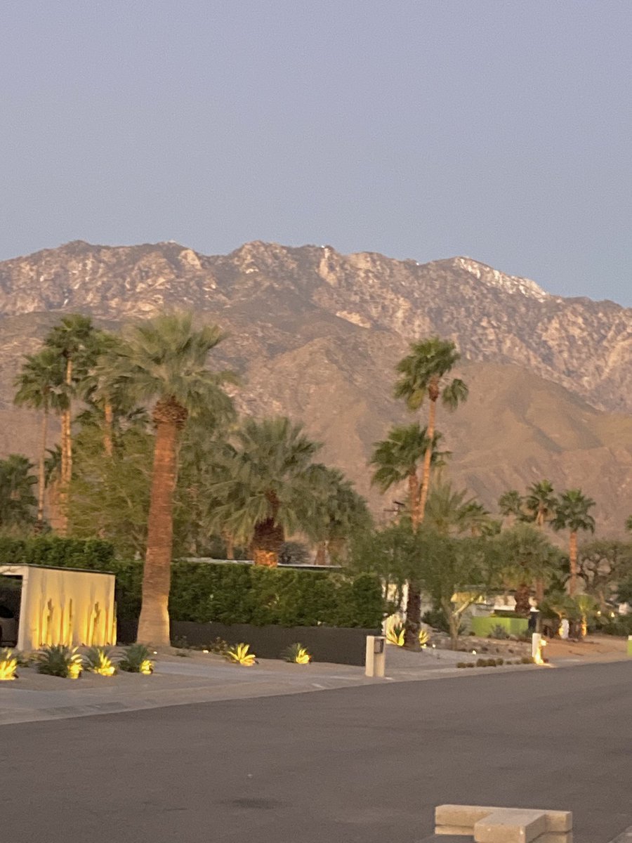 Cardsgirl8's tweet photo. Vacations are good for the soul…❤️ Palm Springs‼️ #california #sunshine #party #girlstrip #vacation #friends #95degrees 🍸 ☀️ 🎰😍 👙 https://t.co/m6vkfvszgR