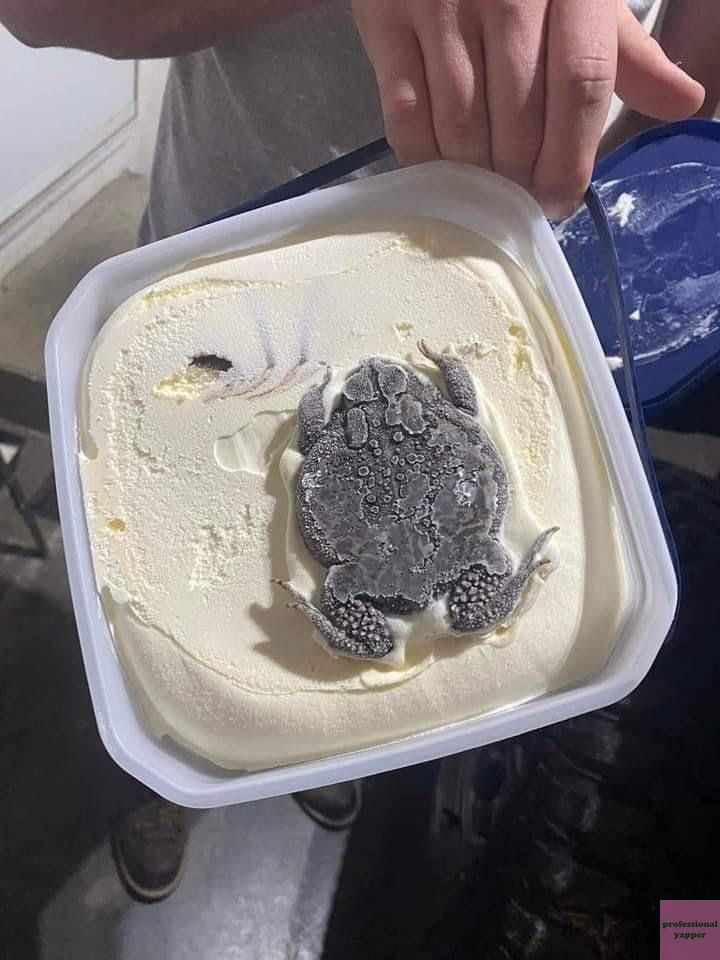 buy 1 get 1 😭 yap!