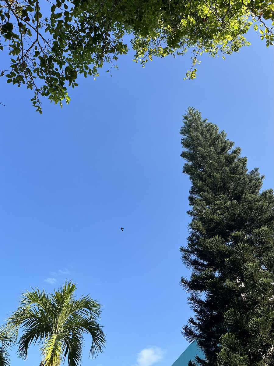 whoinside tweet media