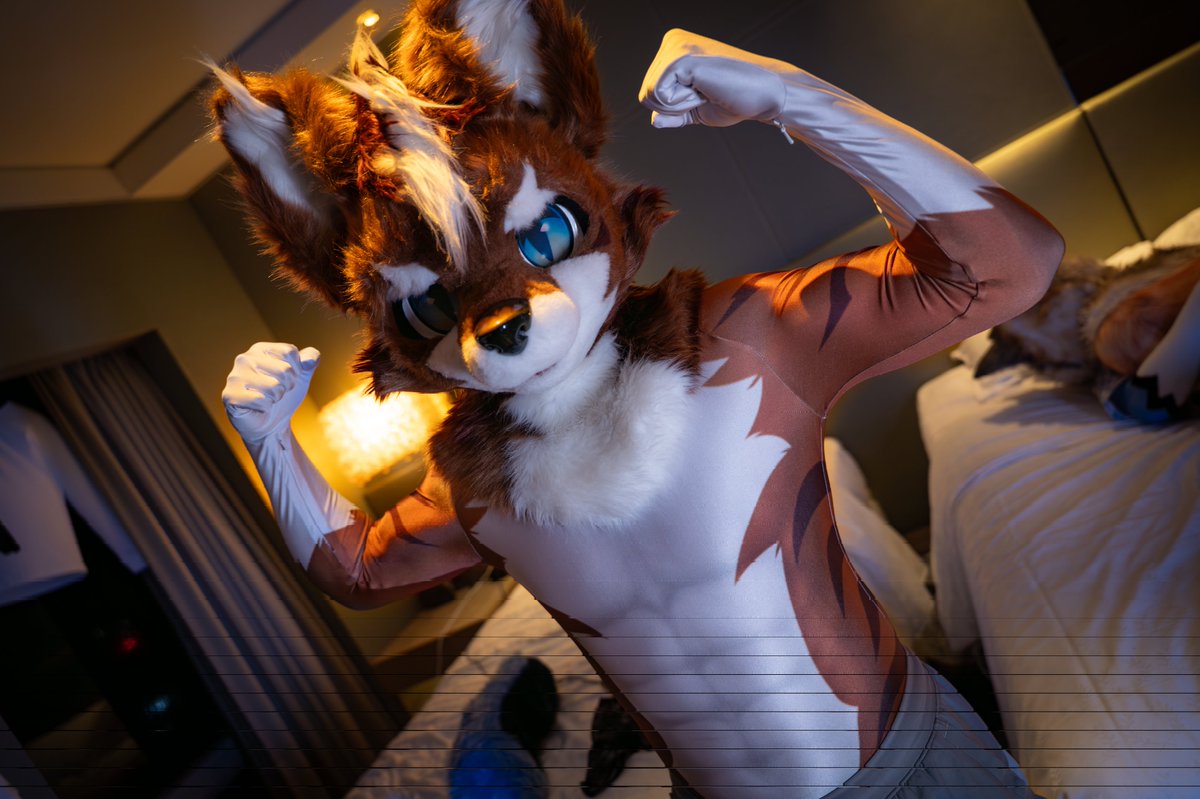 Laco🐼📷 tweet media