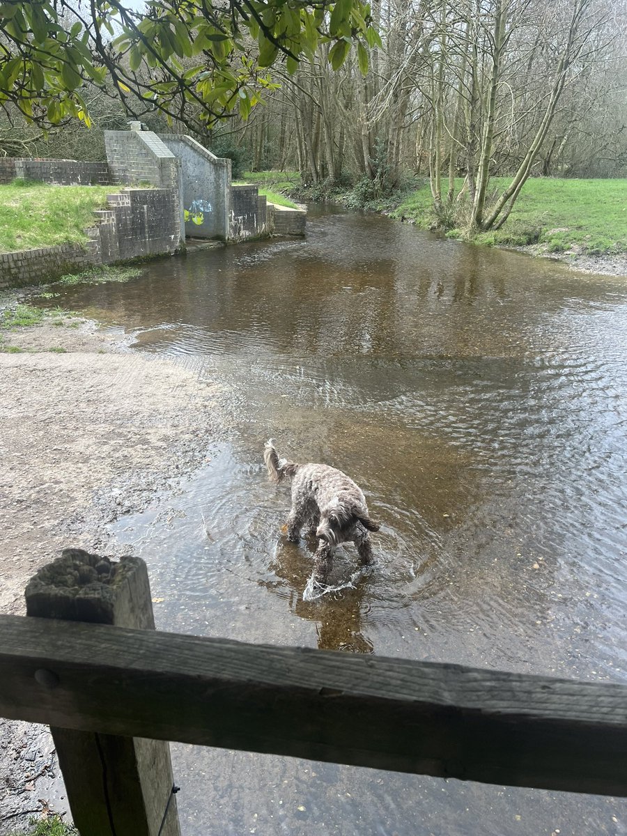 Tim Evans tweet media