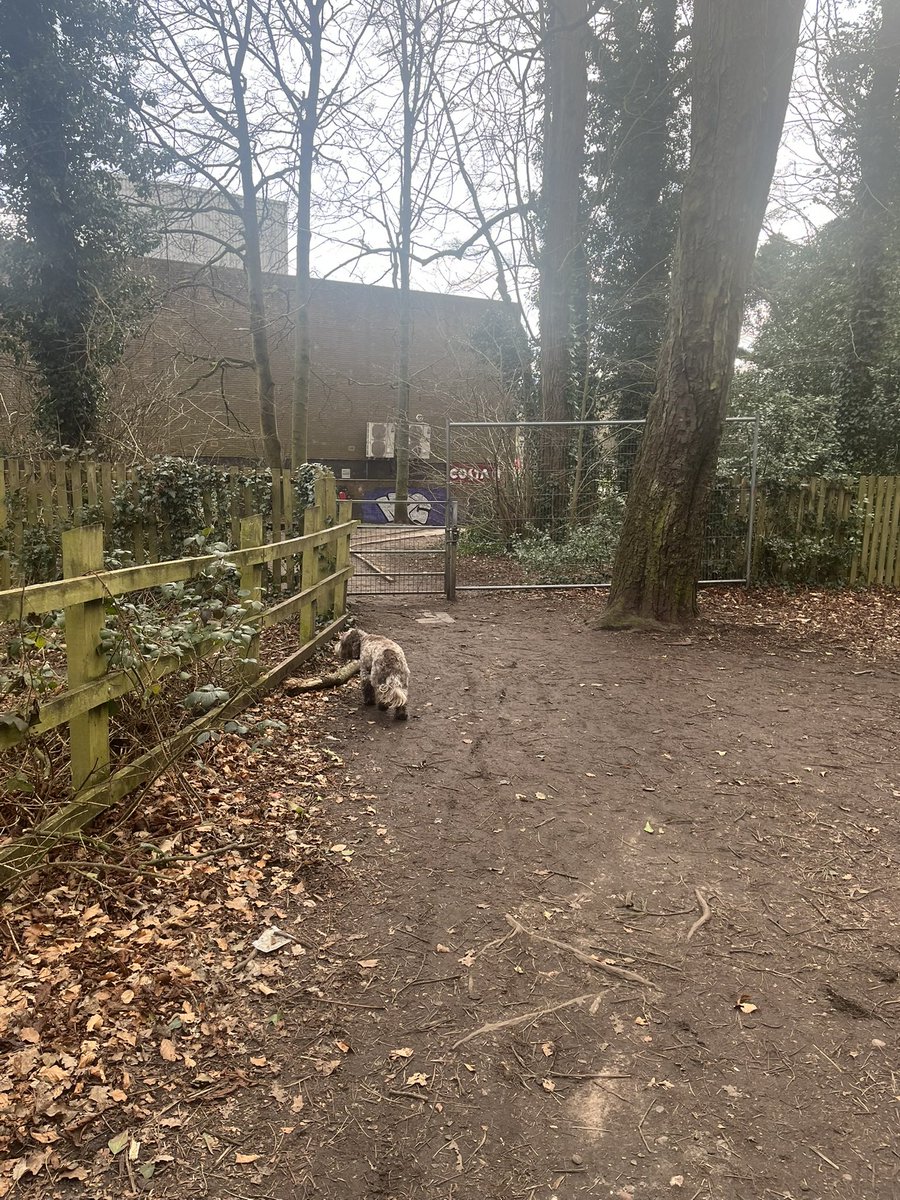 Tim Evans tweet media