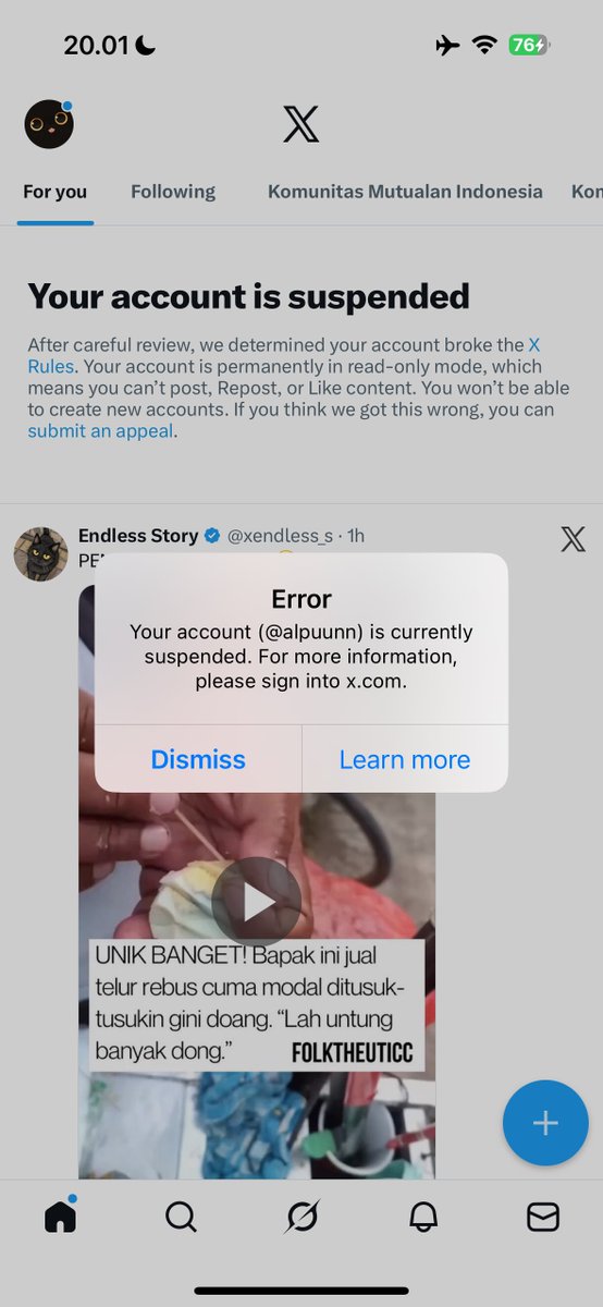 Alpun Chipmunk  tweet media