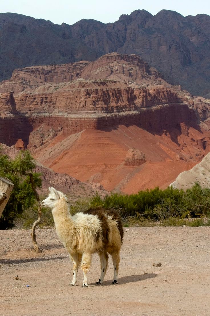 Argentina en Imágenes 🇦🇷 tweet media