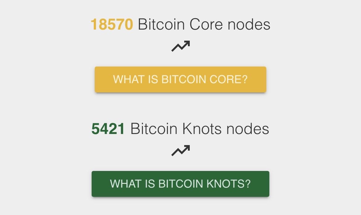 Aye 👩🏻‍💻 ⚡️ tweet media