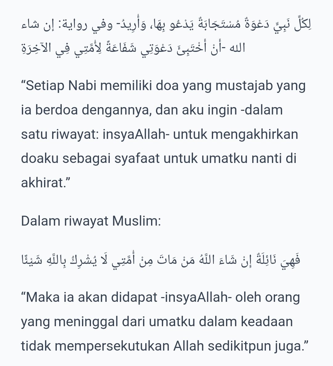  يوسف tweet media