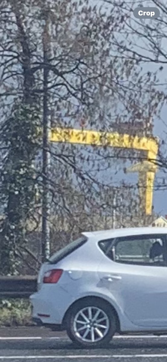 david brodie 🥃 tweet media