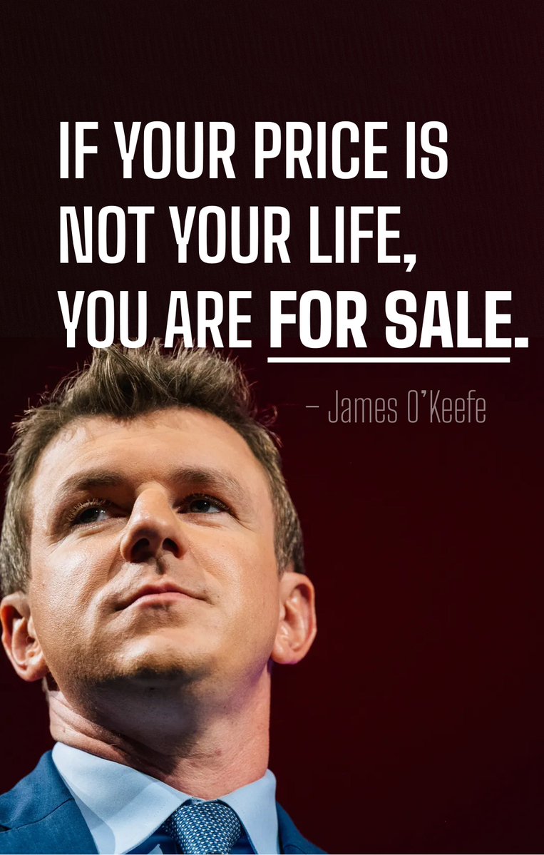 BeeSully 🐝 tweet media