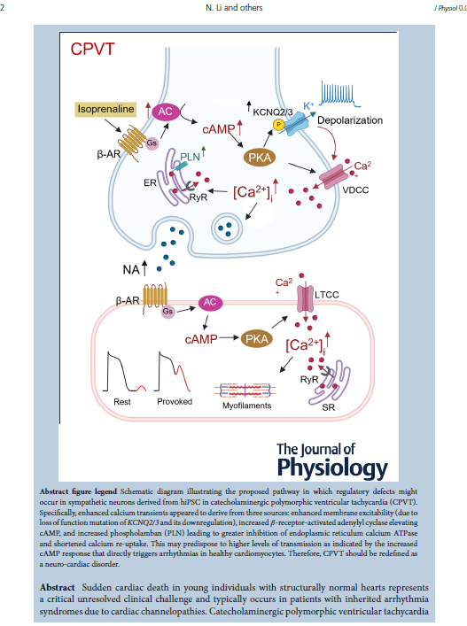 MappingLab tweet media