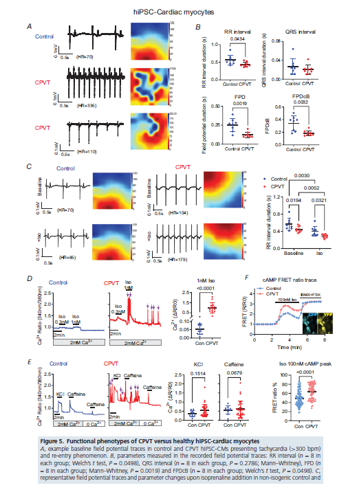MappingLab tweet media