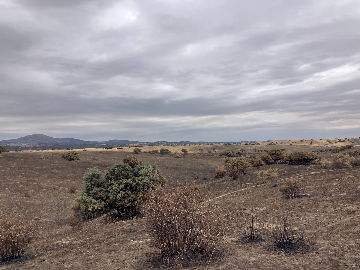 Hugo 💻💙 tweet media