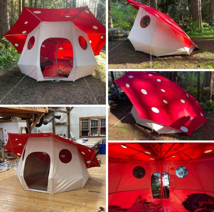 LeoDaVinciWave tweet media