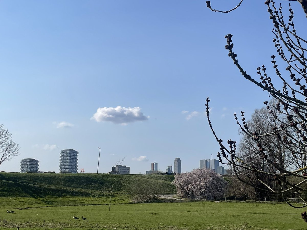 Marjolijn vd Assem tweet media