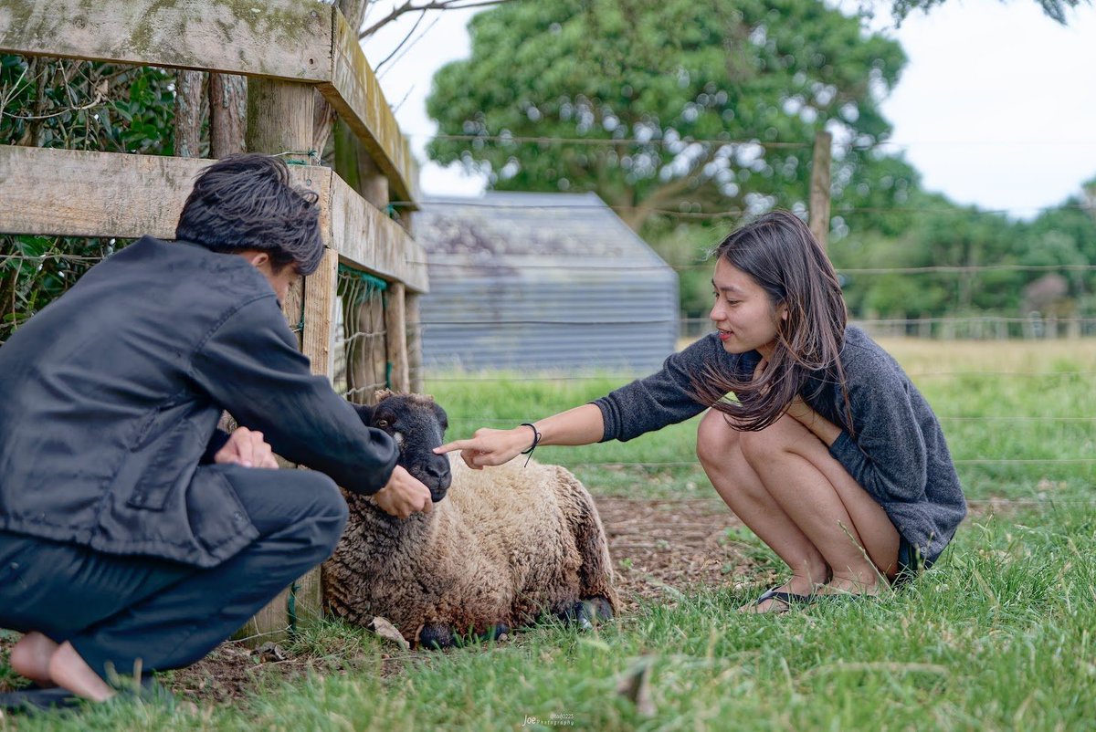 Joe 𝕏 上鍵 忠志 (じょうかぎ ただし) 🇳🇿 tweet media