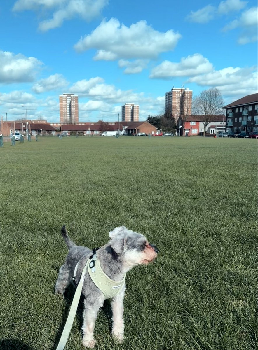 Harriet Spoor tweet media