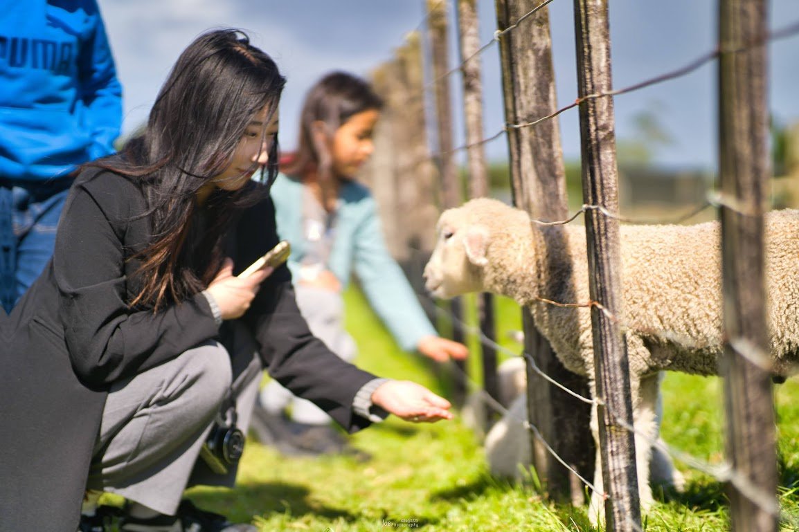 Joe 𝕏 上鍵 忠志 (じょうかぎ ただし) 🇳🇿 tweet media