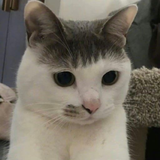 813 (@_970214813) on Twitter photo 