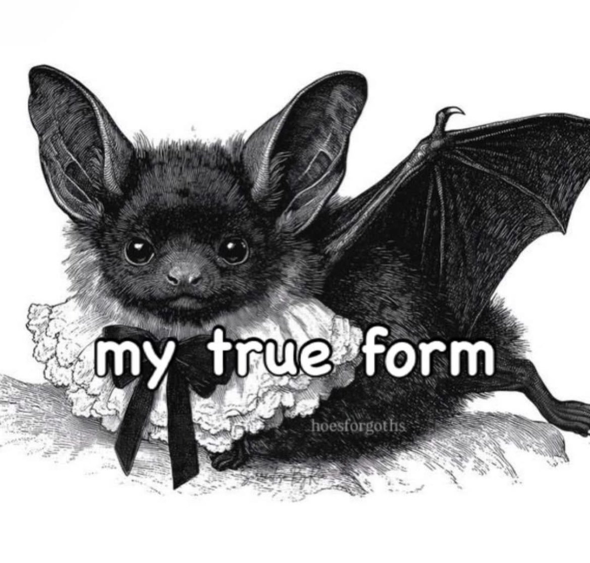 Daniel Miller tweet media