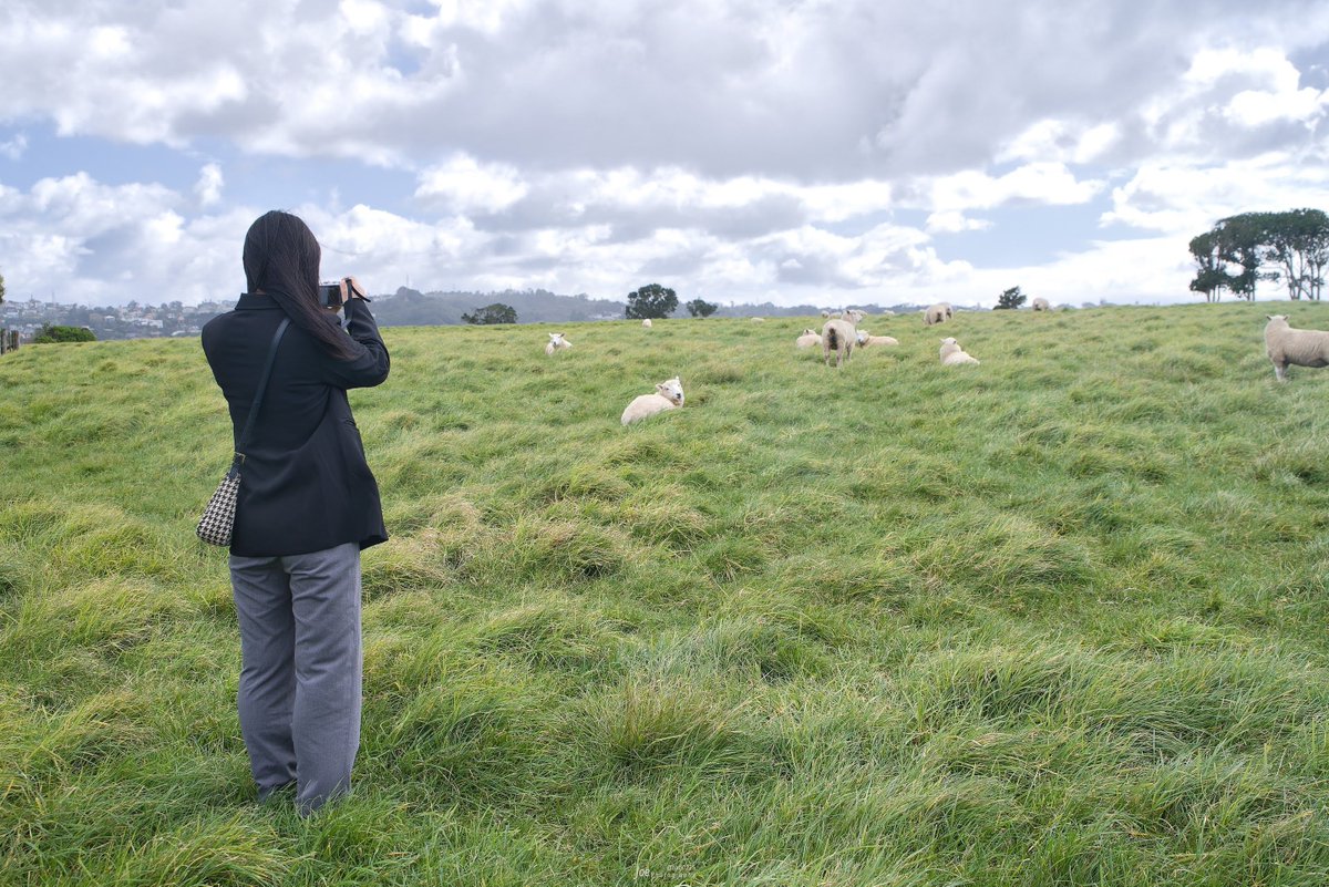 Joe 𝕏 上鍵 忠志 (じょうかぎ ただし) 🇳🇿 tweet media