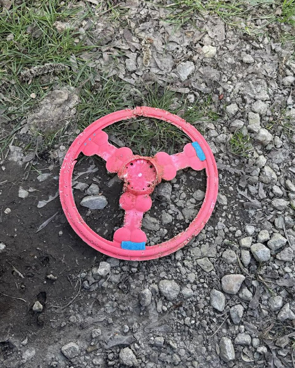 Yorkshire Swan & Wildlife Rescue Hospital tweet media