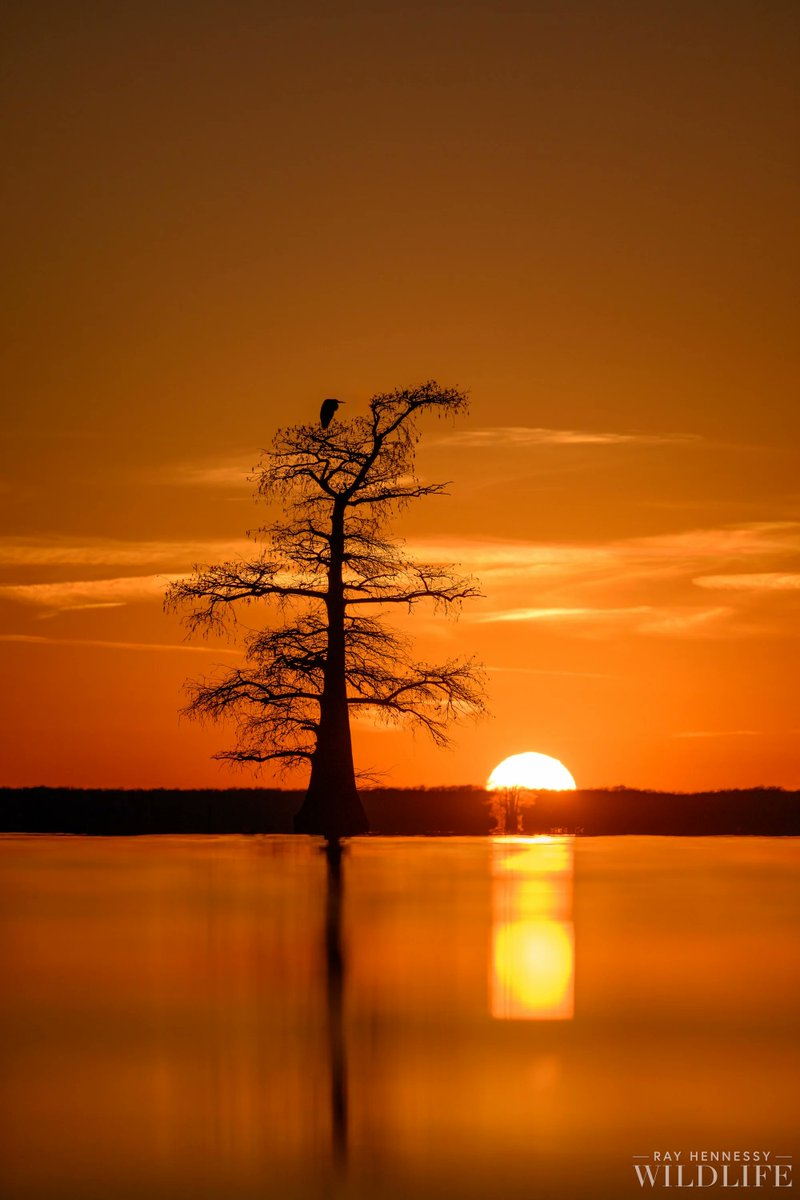 ieldanth tweet media