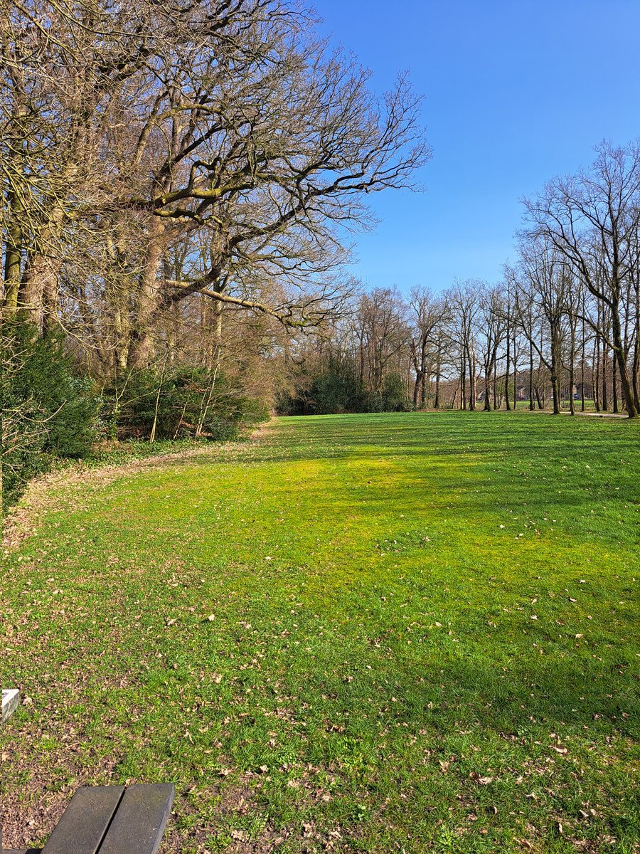 Sieger van Wijk tweet media