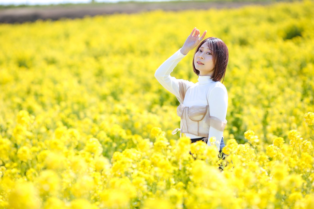 ミモザも良いけど、菜の花も良いですよ〜