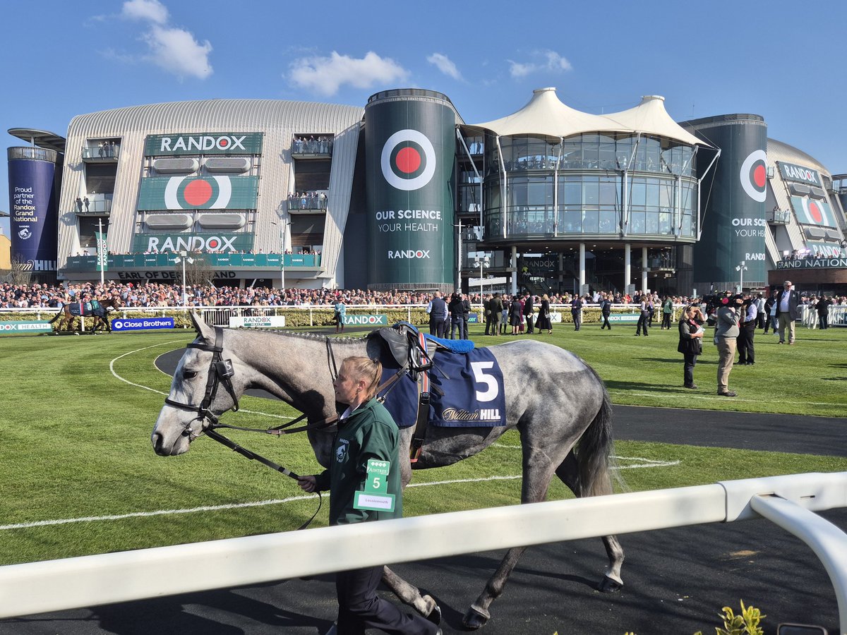 Road To Cheltenham tweet media