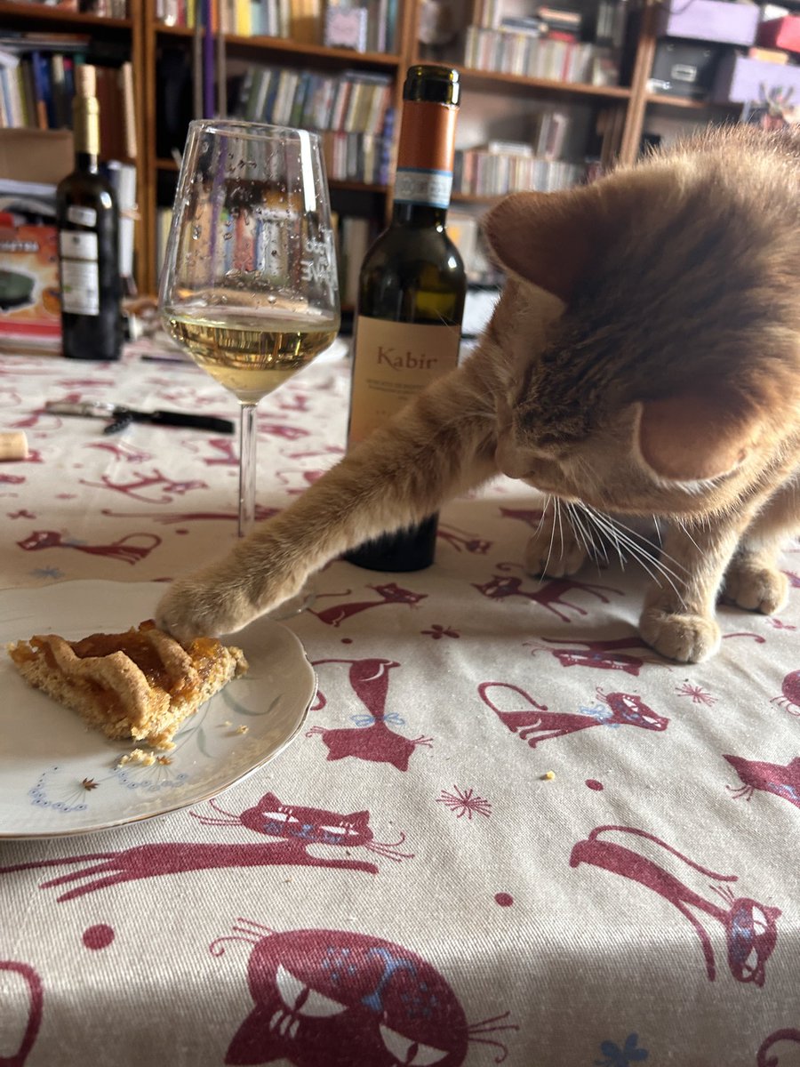 👩🏻‍🍳￼￼🐈🍷🍷