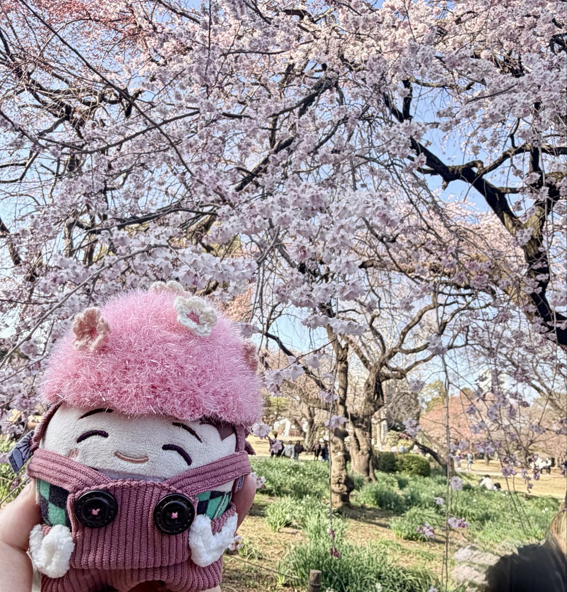 今日一番見応えがあった🌸の🌳はこちらです！いっぱい人がいた！大人気！！
きっとあと10日程で今日いたところの🌳も満開になるんだろうな✨
⊂(´◜◡◝`)⊃いのちってすごいね✨うつくし！