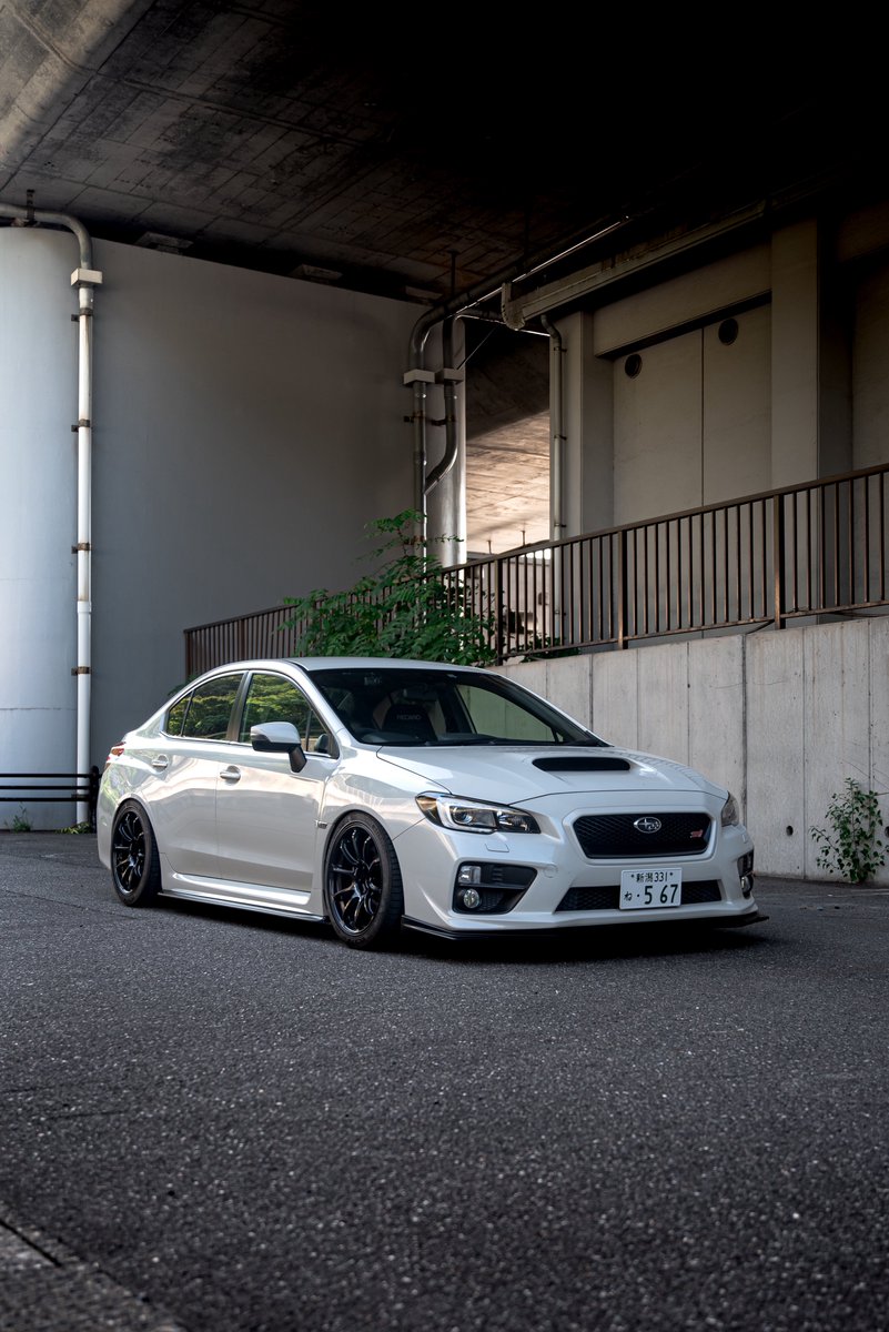 ｼｭーま tweet media