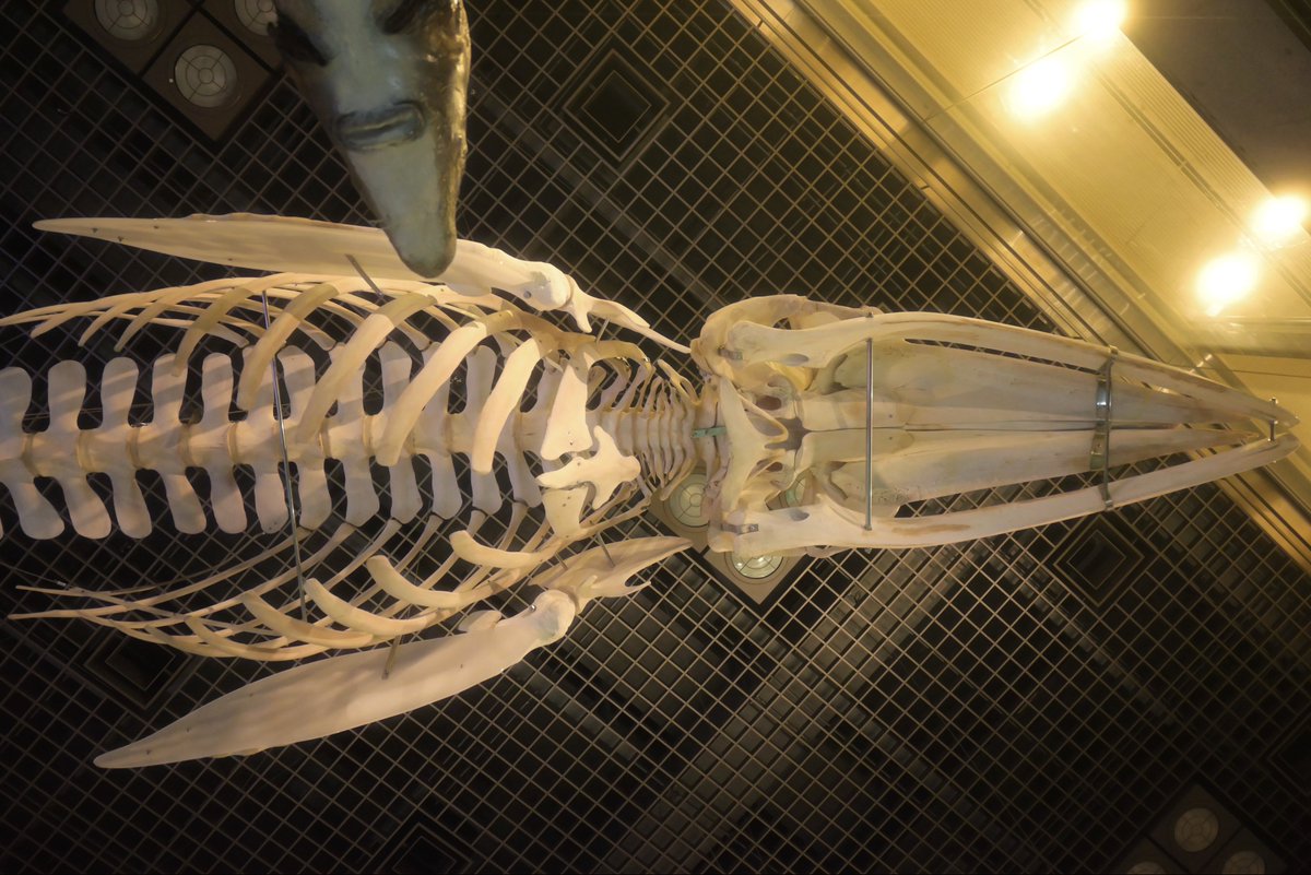 nagi𓅫⸒⸒ tweet media